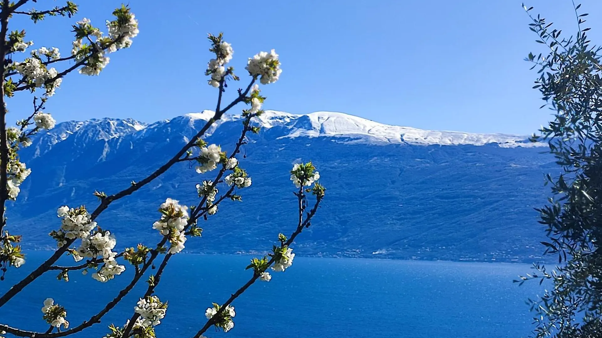 Agriturismo L'Uliveto Gargnano Olaszország
